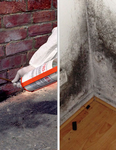 Damp Treatment Plymouth | Damp Treatment Devon | Damp Treatment South Hams | Damp Treatment Cornwall 