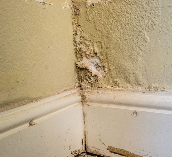 Penetrating Damp Survey Plymouth | Penetrating Damp Survey Devon | Penetrating Damp Survey South Hams | Penetrating Damp Survey Cornwall | Penetrating Damp Treatment 