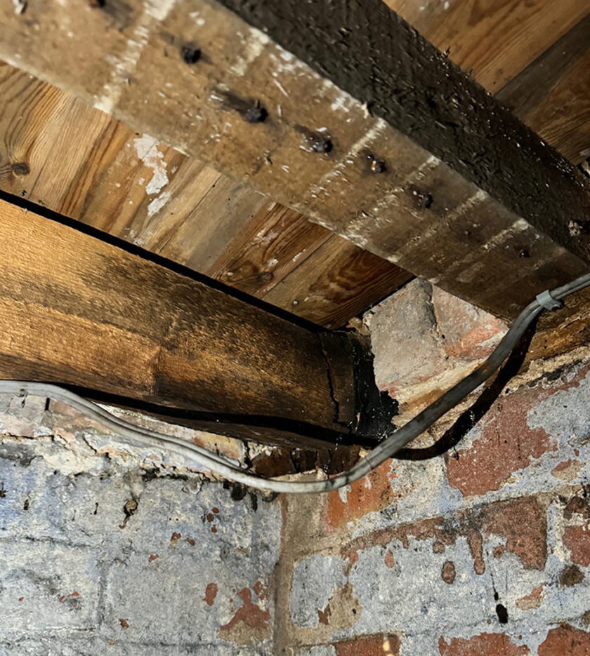 Dry Rot Surveys Ivybridge Devon | Dry Rot Treatments Ivybridge Devon | Wet Rot Treatments Ivybridge Devon | Timber Surveys Ivybridge Devon 