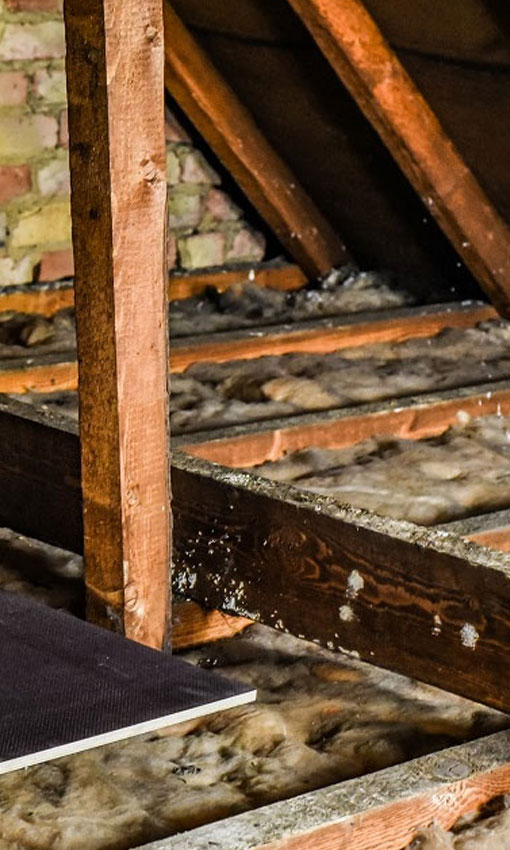 Wet Rot Surveys Plymouth Devon Cornwall | Wet Rot Treatments | Timber Treatments Plymouth Devon Cornwall | Timber Surveys Plymouth Devon Cornwall